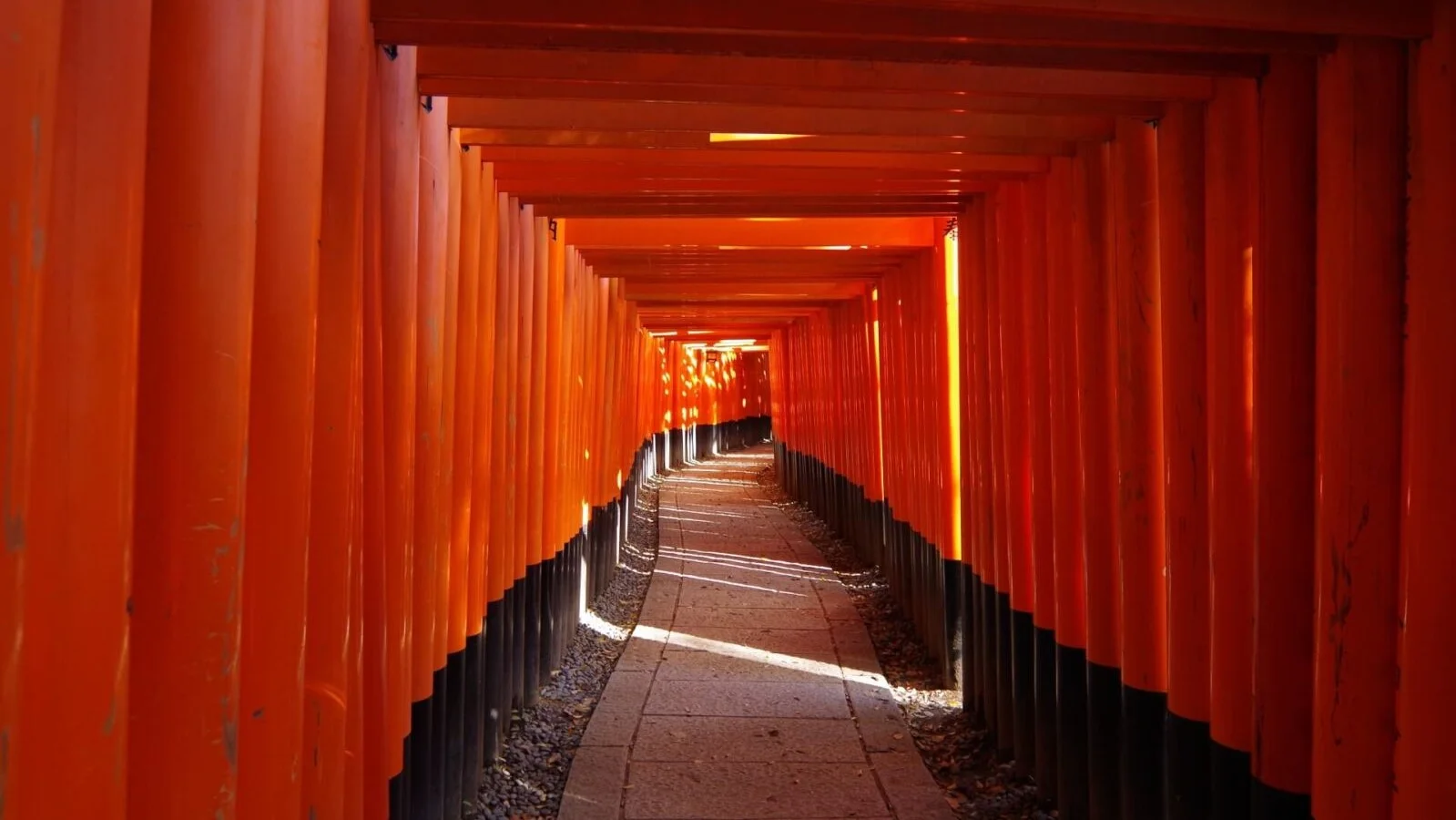 Expédition au Japon