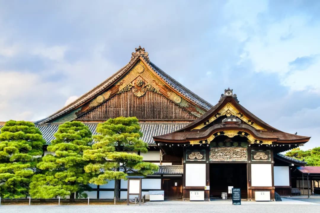 Floraison cerisier & Japon festif